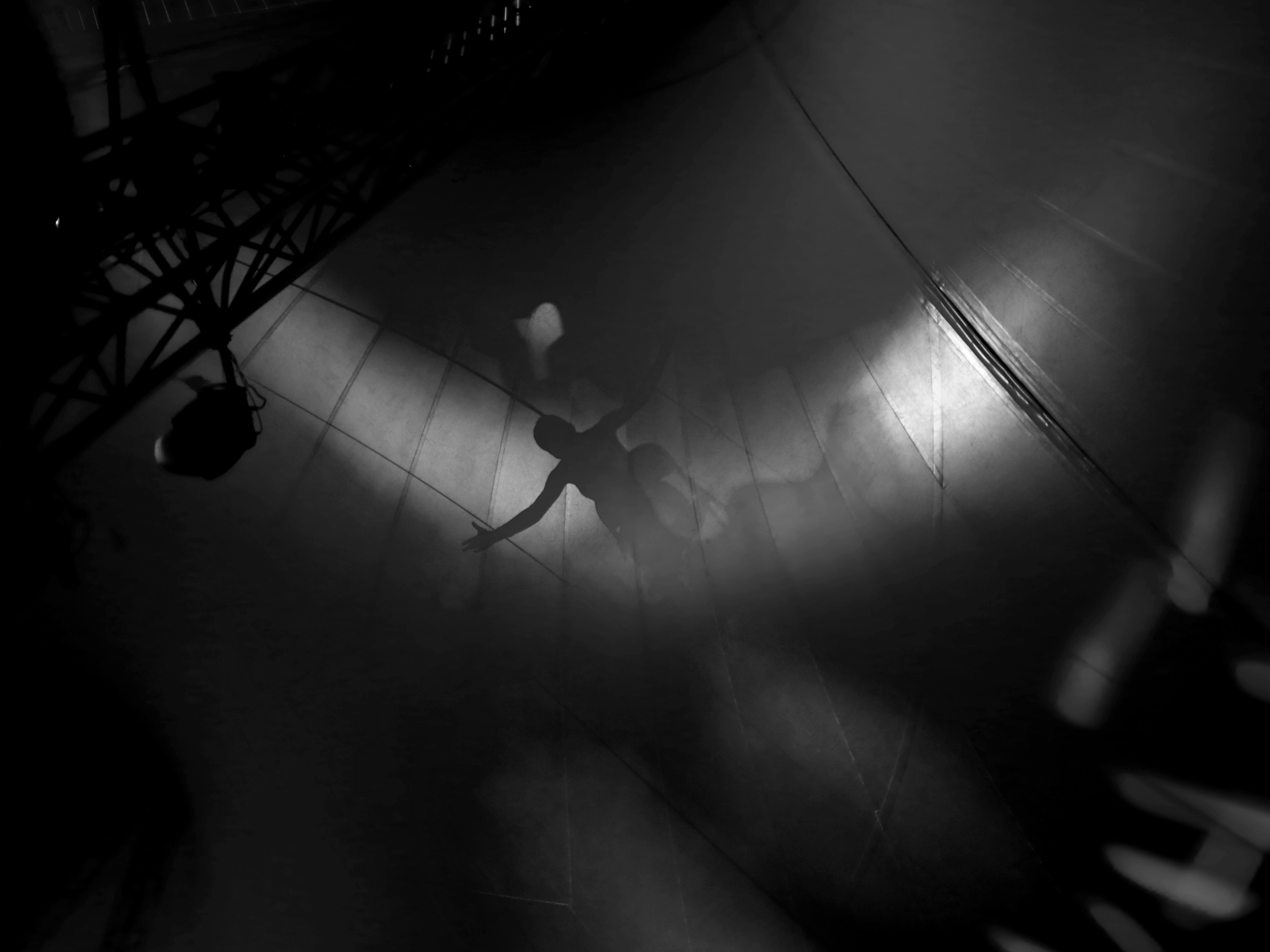 Black and white photograph of an aerialist silhouette under the big top.